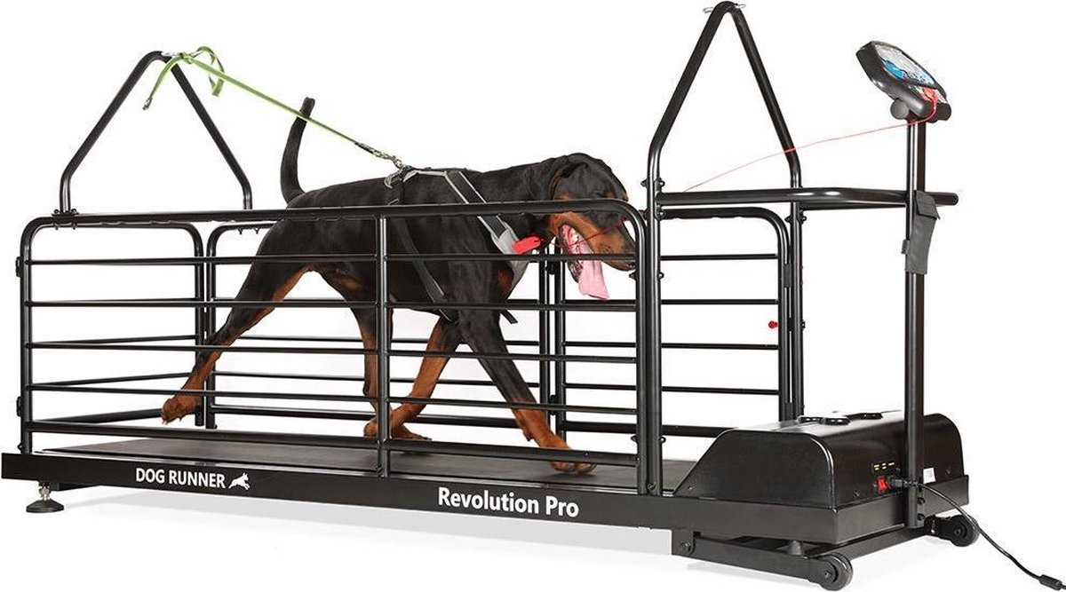 dog runner revolution pro hondenloopband
