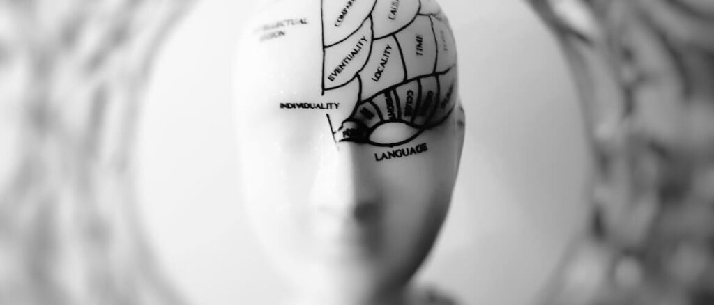 Wat is dopamine en wat is het effect? – Mindsetking