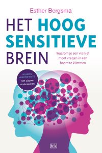 het hoogsensitieve brein