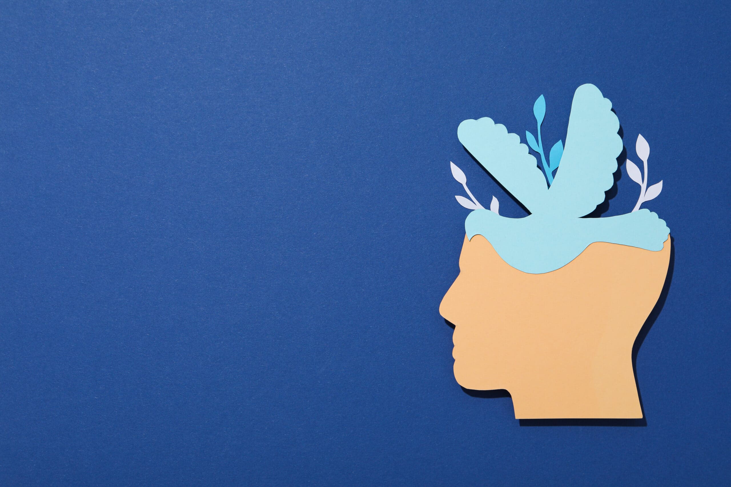 laat je mindset groeien