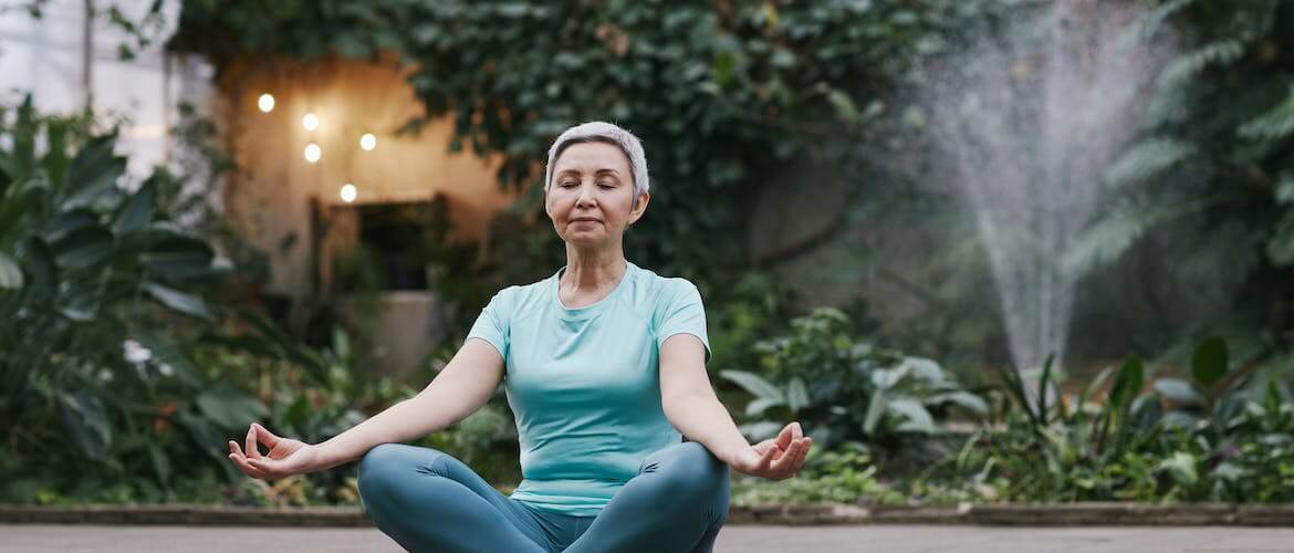 alles over vipassana meditatie||