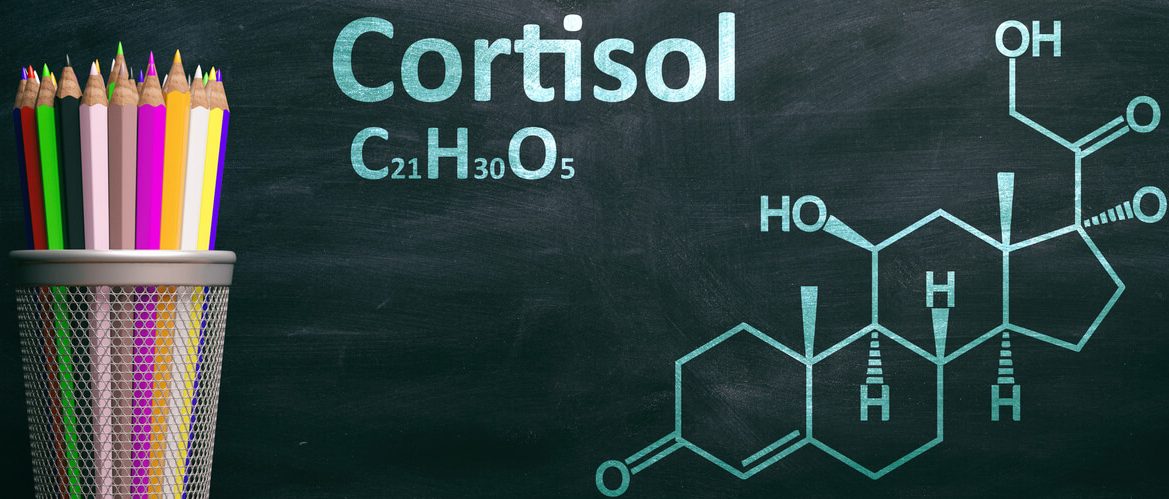 cortisol betekenis|