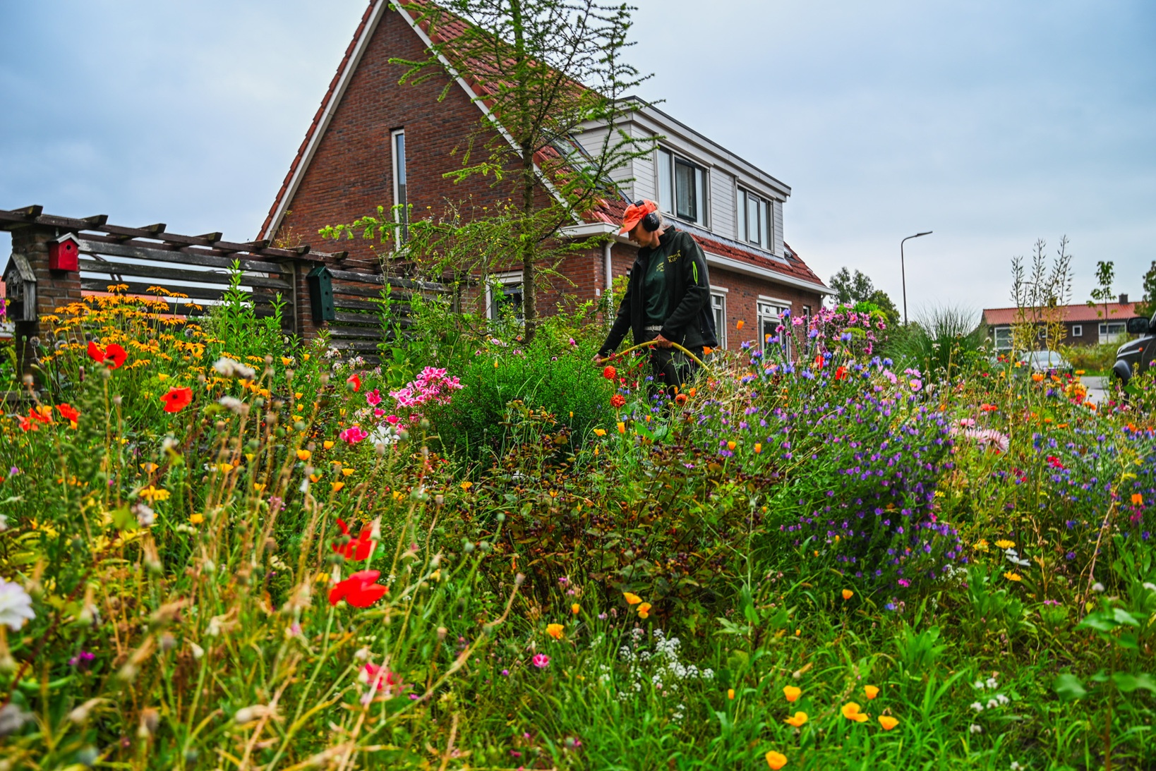 werken in de natuur